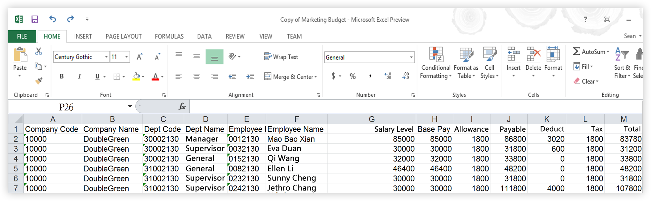 payroll-feature-salary-table02