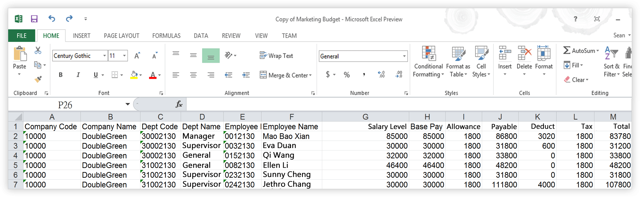 Payroll Feature Salary Table (02)